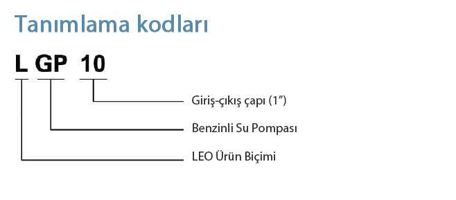 lgp10 tanımlama kodları