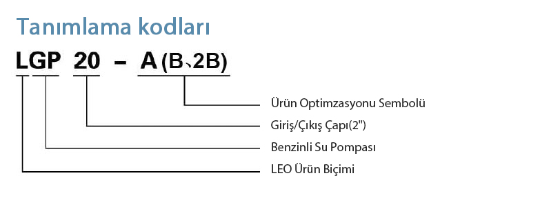 lgp20a tanımlama kodları