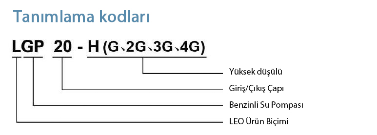 lgp2h tanımlama kodları