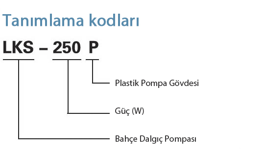 lksp tanımlama kodları