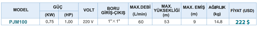 Power Momentum PJM100 Döküm Gövde Jet Pompa Tablo 