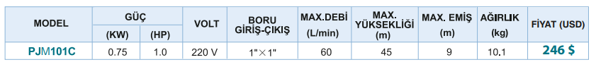 Power Momentum PJM101J Paslanmaz Gövde Jet Pompa Tablo