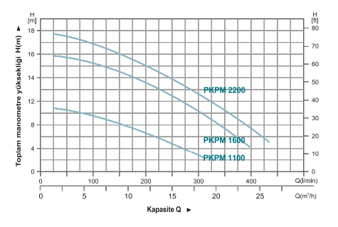 Power Momentum PKPM 1100 Havuz Pompası Grafik