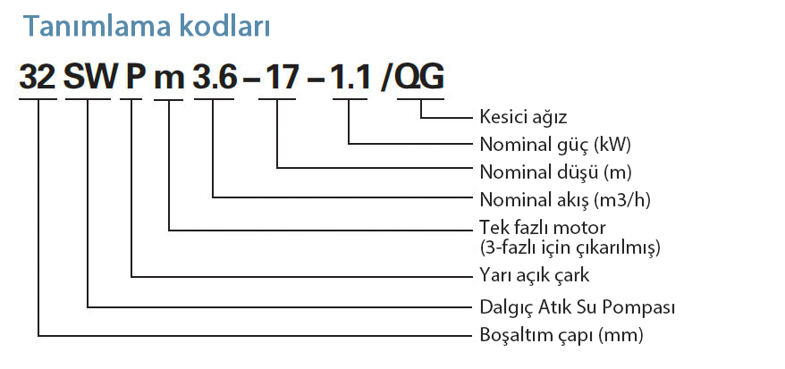 swp tanımlama kodları