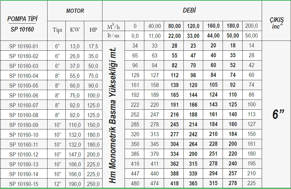 Ulusu 10" 10160 serisi paslanmaz dalgıç pompa tablo