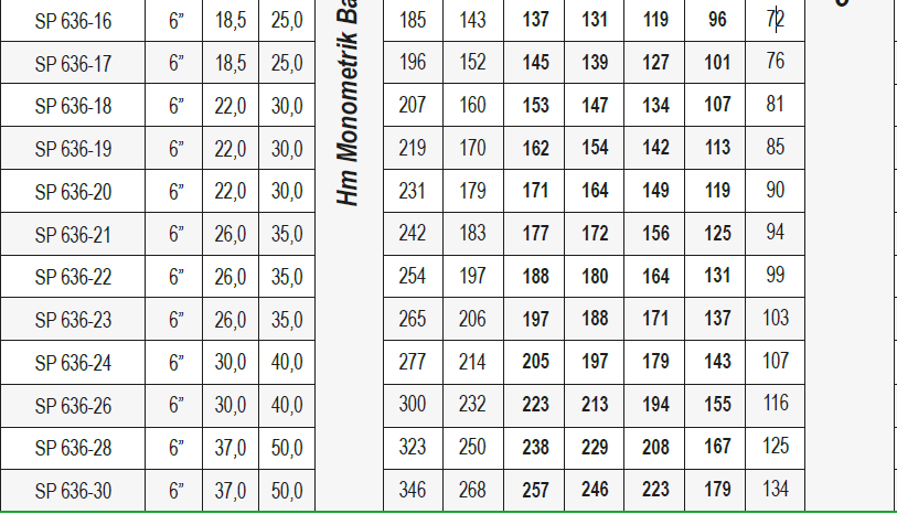 Ulusu 6" 636 serisi paslanmaz dalgıç pompa tablo