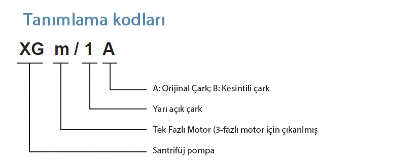 xgm1 tanımlama kodları