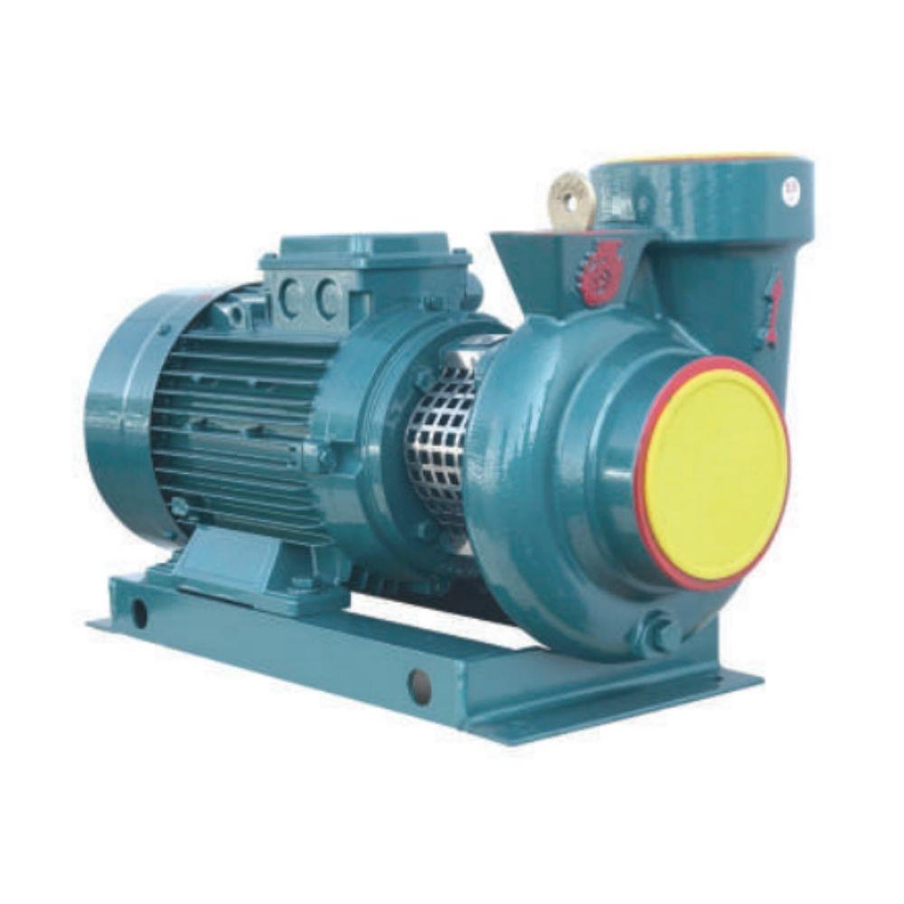 Domak SDM440 - 5.5 HP - 100 m³ - 18 mSS Monoblok Santrifüj Pompa