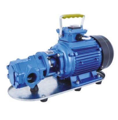 Duyar WCB-75T (1750d/dk ) Dişli Yağ Transfer Pompaları