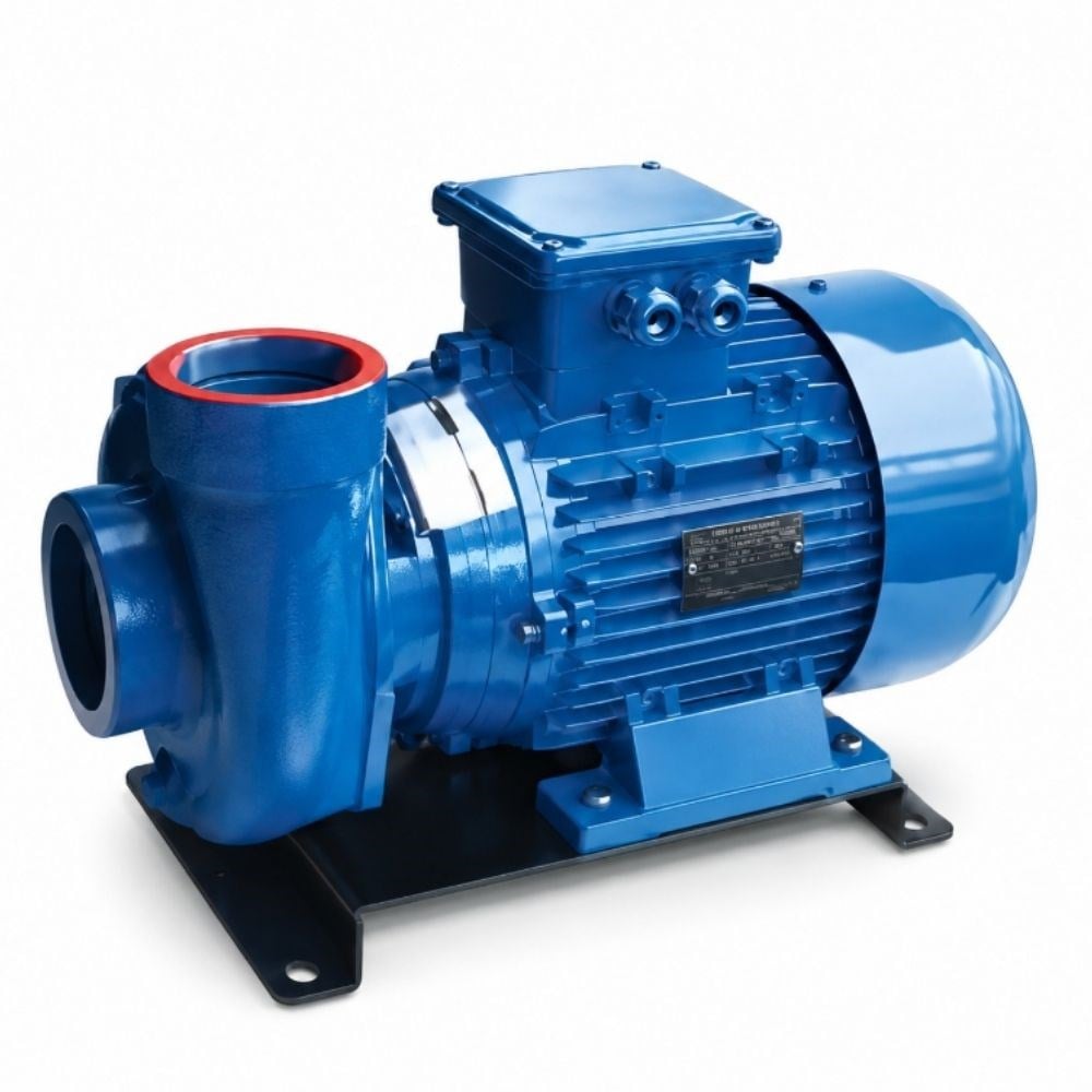 impo-stpj-5-9d6d7a.jpg