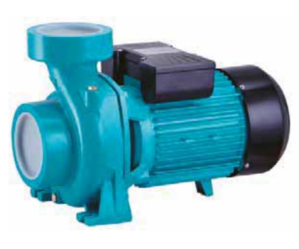 Momentum PHM/6BR Tek Fanlı Santrifüj Pompa