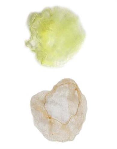 Trina Saç Filesi Sarı İnce - 72