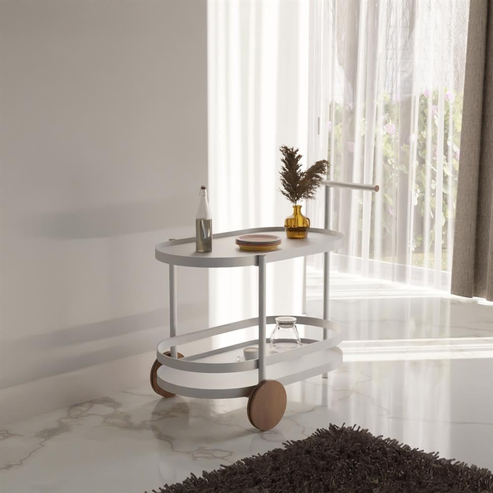 Tera Servis Arabası