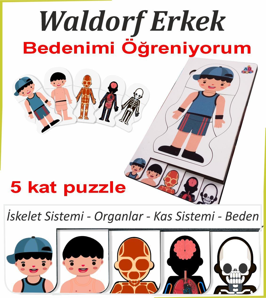 Waldorf Erkek Beyaz Bedenimi Öğreniyorum
