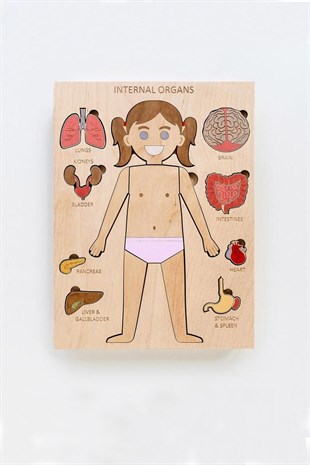 Boyanabilir Ahşap Kadın Vücudu ve Organları Yapboz Puzzle