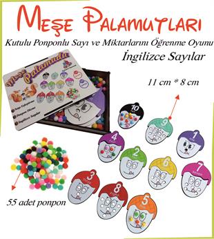 Meşe Palamudu Sayı ve Miktarlarını Öğreniyorum