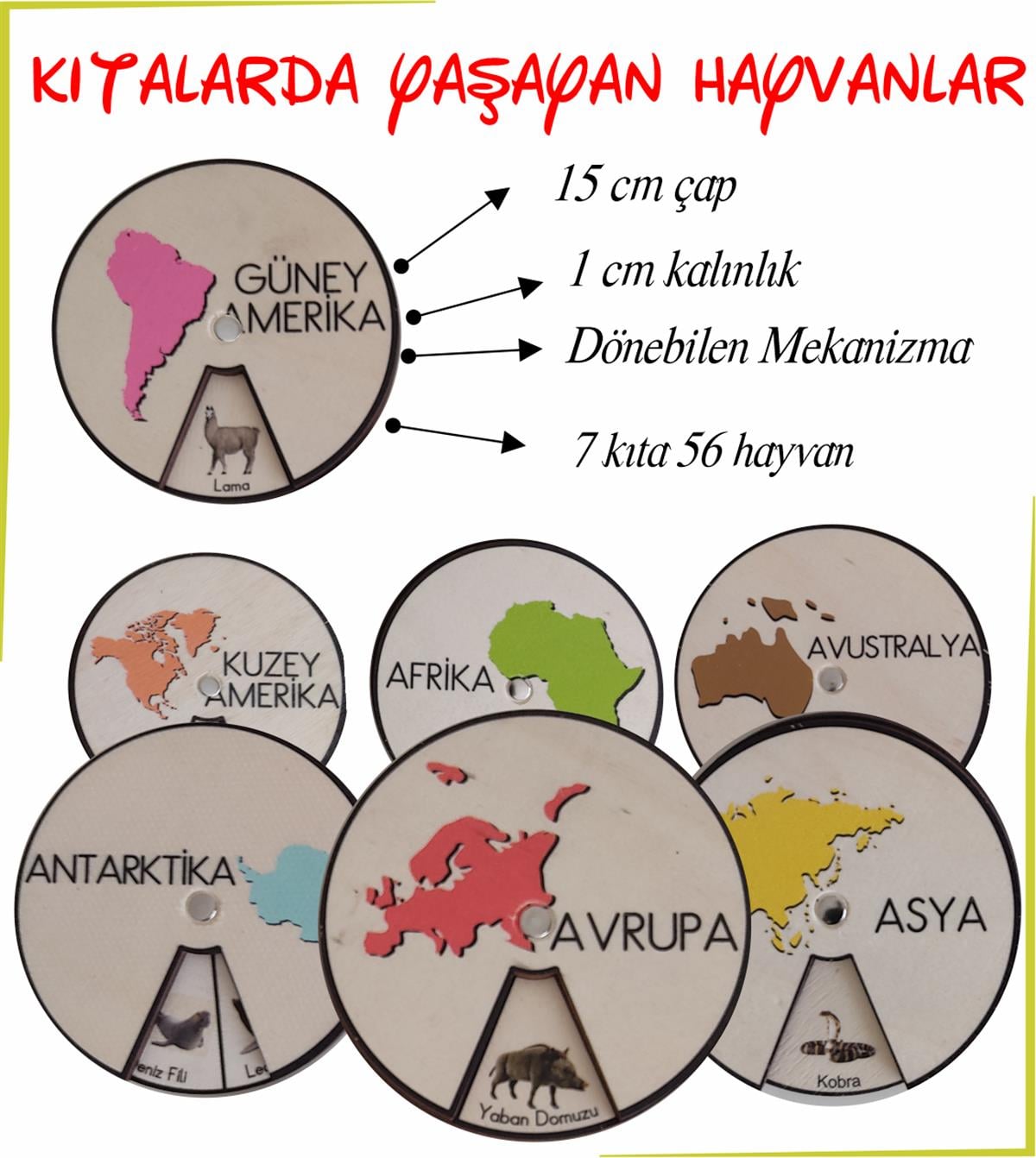 Ahşap Renkli Kıtalar ve Kıtalarda Yaşayan Hayvanlar