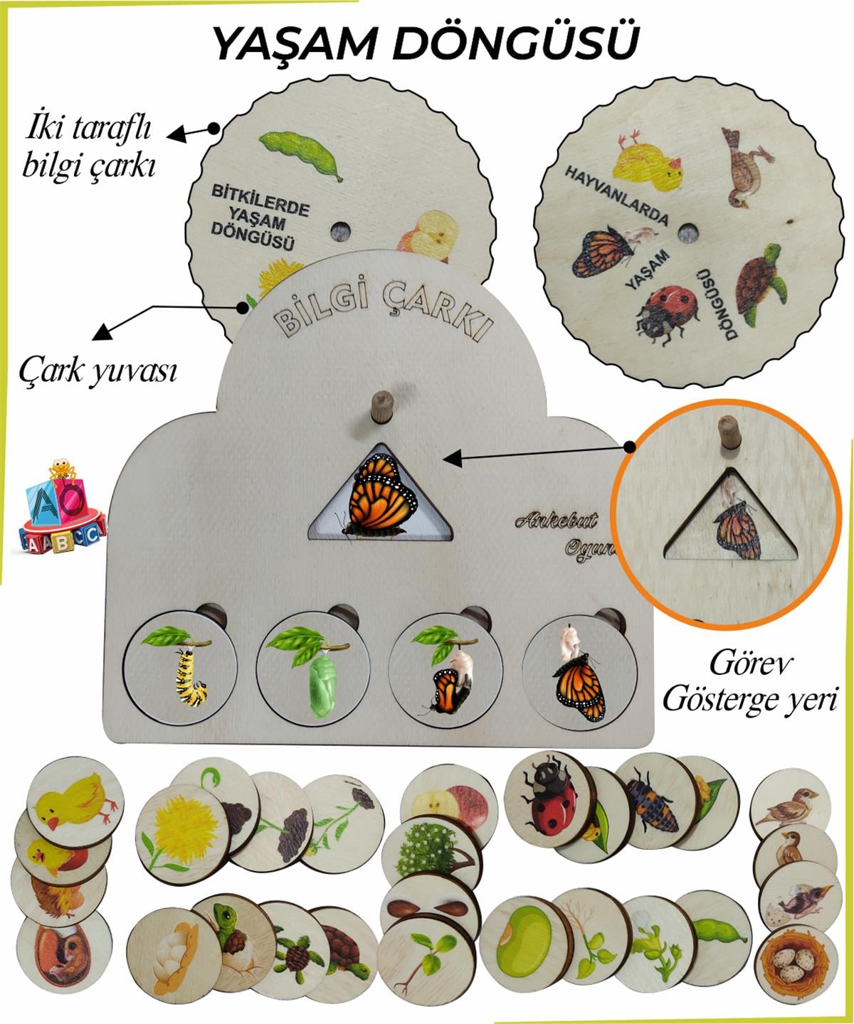Bilgi Çarkı Fen Seti 2 Yaşam Döngüsü