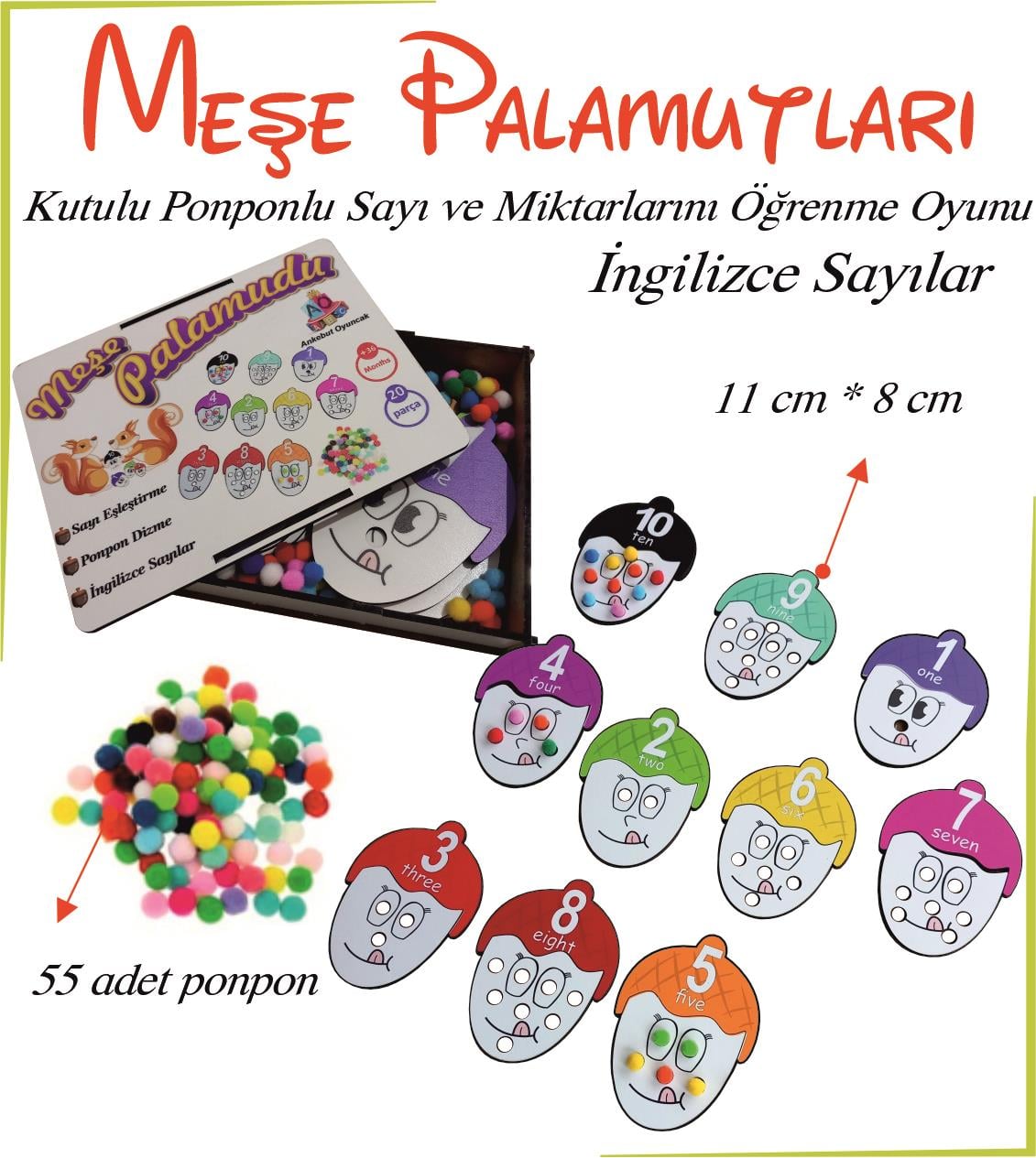 Meşe Palamudu Sayı ve Miktarlarını Öğreniyorum