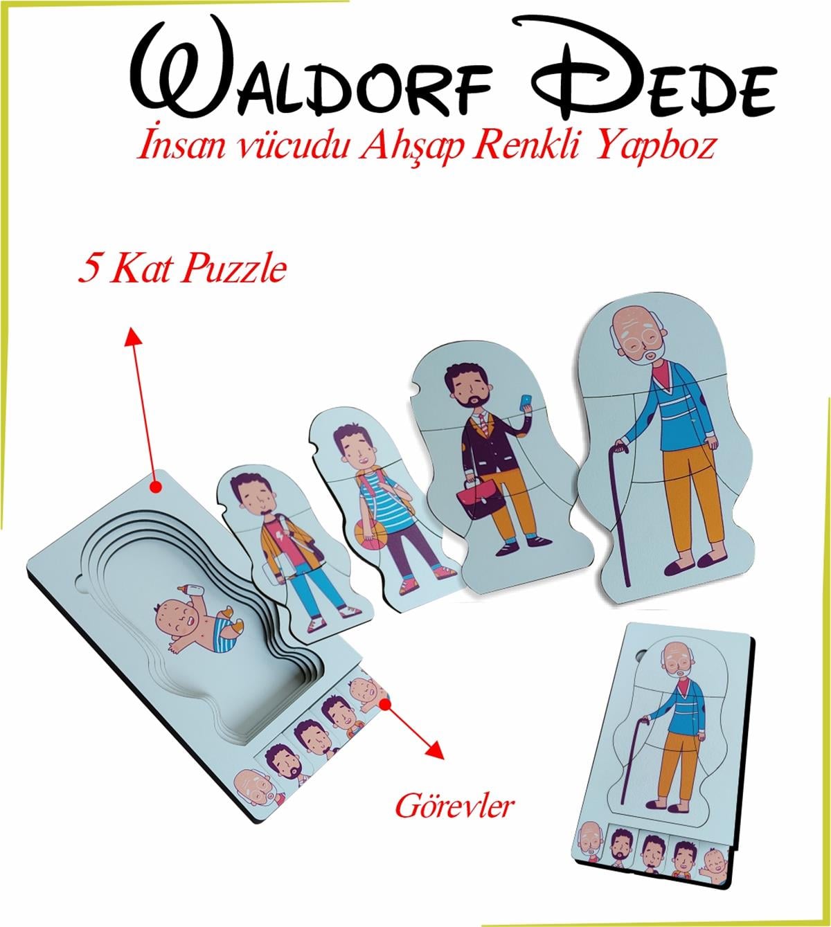 Waldorf Dede İnsan Vücudu Renkli Yapboz