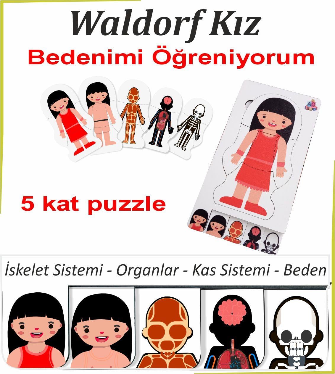 Waldorf Kız Beyaz Bedenimi Öğreniyorum