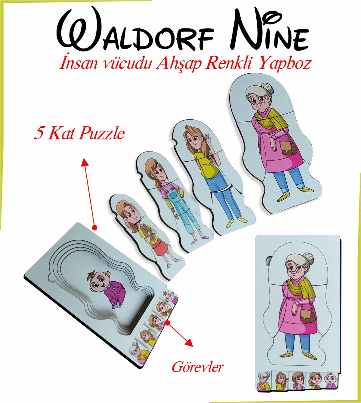 Waldorf Nine İnsan Vücudu Renkli Yapboz