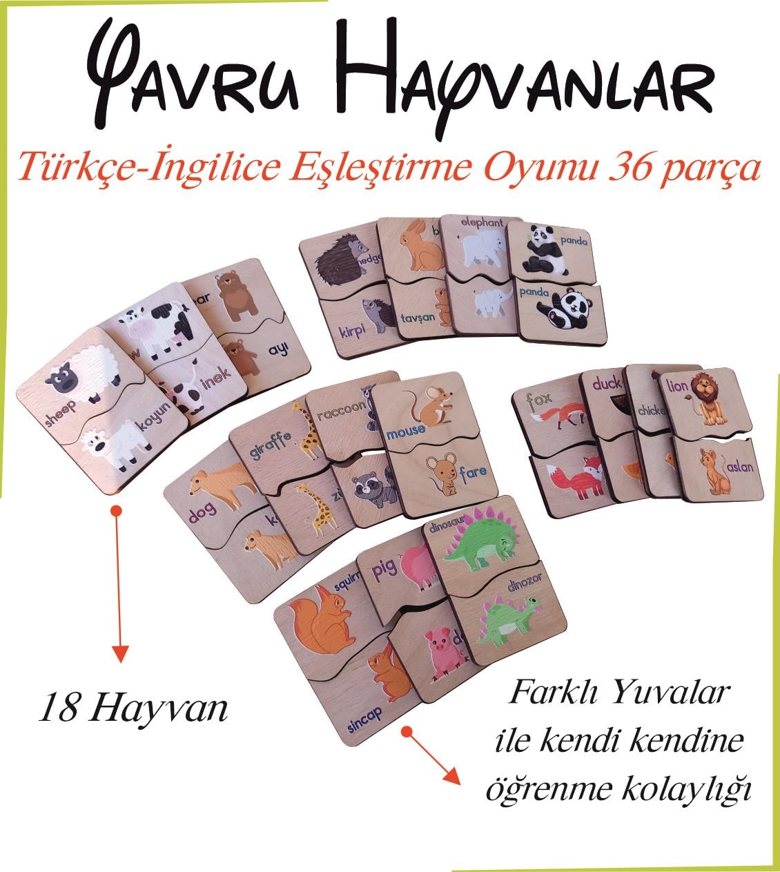 Yavru Hayvanlar Türkçe İngilizce Eşleştirme Oyunu