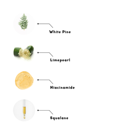 Cocos Dark Spot Corrector Niacinamide Leke Giderici Renk Eşitleyici Serum 30ML