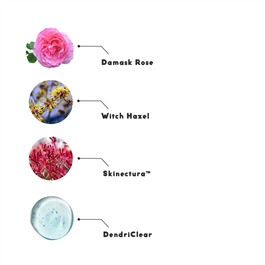 Ruby Pore Tightening Mask Gözenek Karşıtı  Aydınlatıcı Yüz Maskesi 100ML