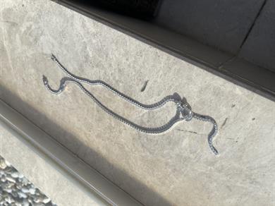 GÜMÜŞ KİLİT MARKA SU YOLU KOLYE