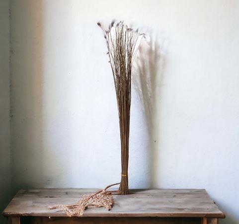 Doğal Renk Saz Bitki