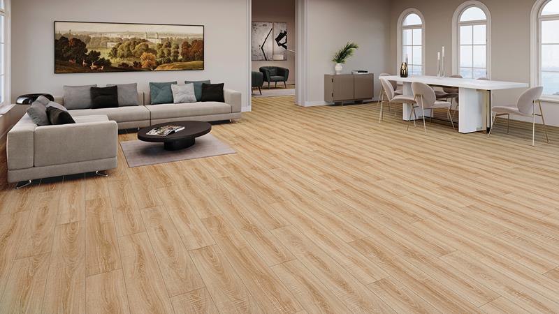 VarioExclusive Mudanya Pahlı 5G 1204x193 (2,3237)
