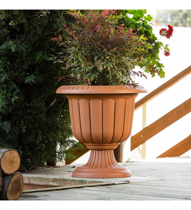 Hak Saksı Nergiz Yuvarlak 2 No 26 Lt