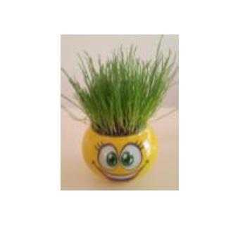 Mini Çim Adam