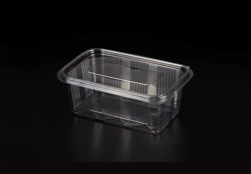 Plastik Sızdırmaz 1000 cc Kapaklı Kap L-110