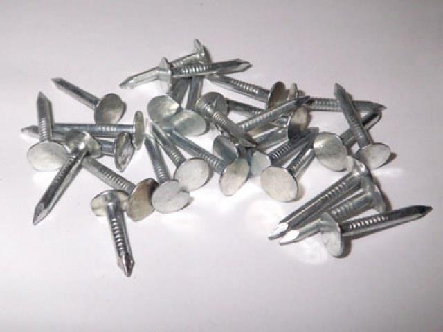 Şıngıl Çivisi 3 cm
