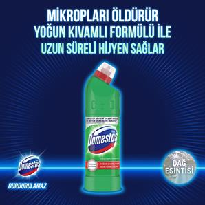 Domestos Dağ Esintisi 750 Gr