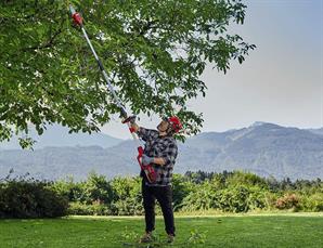 Einhell GE-LM Solo Çalı Tırpanı + Çit & Dal Budama