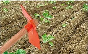 Eltos Saplı Sivri Çapa 