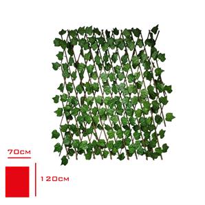Evmoni Yapraklı Akordiyon 70*120 cm
