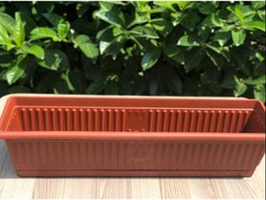 Hak Saksı Balkon Küçük 71 Cm Naturel 13 LT Plasti