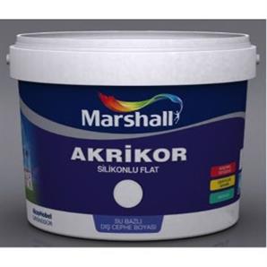 Marshall Akrikor Silikonlu Flat BW Baz 15 Lt Boya