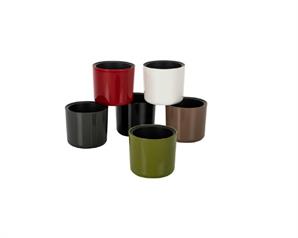 Poliwork Kaktüs Saksı Mimoza 9 cm Mix