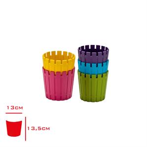 Poliwork Saksı Kaktüs Akasya 13 cm Mix