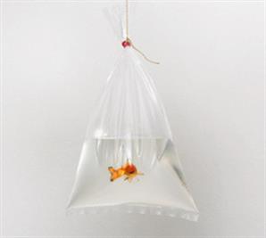 Şeffaf Gıda Poşeti 1 Kg 20*30