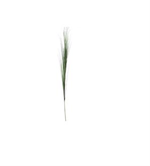 Yeşil Saz 96 cm