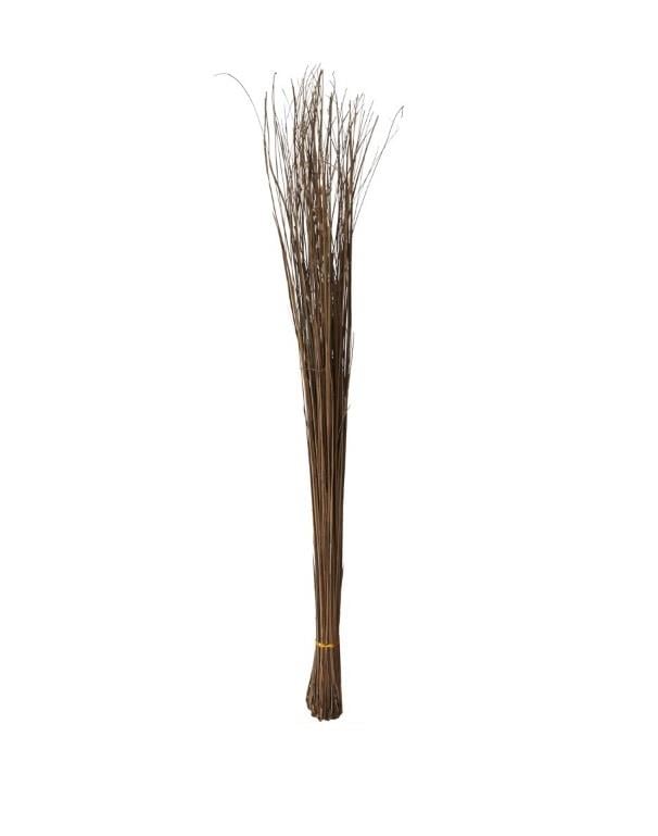 Doğal Renk Saz Bitki