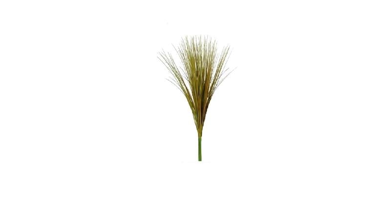 Diğerİnciraltı Alacalı Sazlık 65 cm