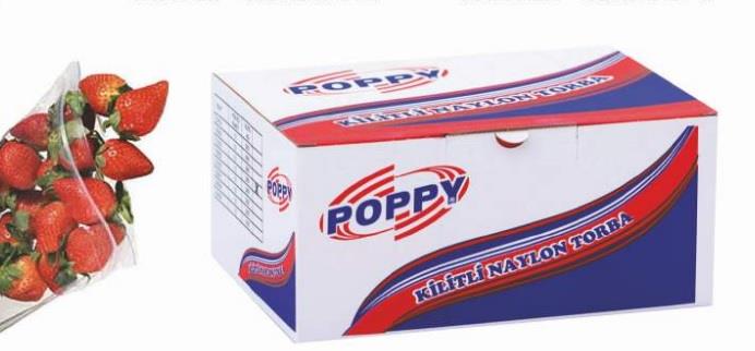 Kilitli Poşet 19*25 