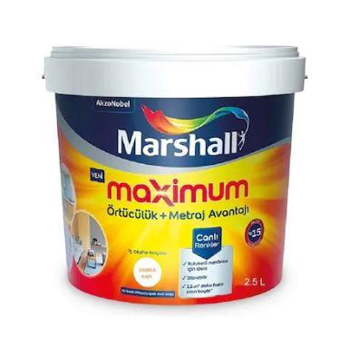 Marshall Maximum Silikonlu Mat Bw 2,5 L 